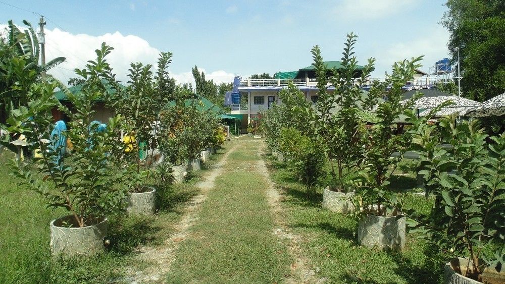 Michelle Pension Puerto Princesa Екстериор снимка