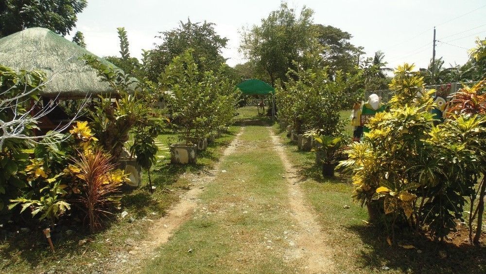 Michelle Pension Puerto Princesa Екстериор снимка